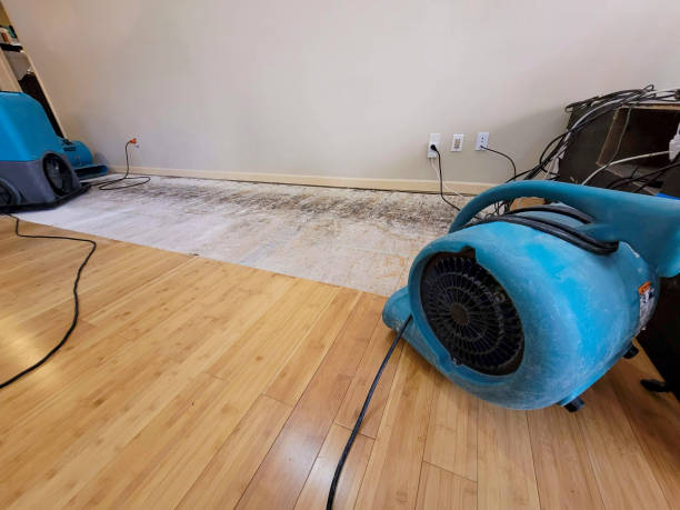 Professional Water Damage Repair technician working in Baldwin, IL